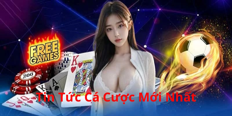 Tin tức cá cược mới nhất